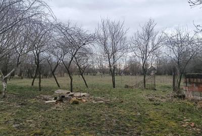 Casă cu 2 camere în Șemlacu Mare - 6