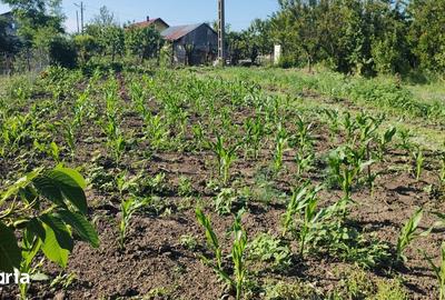 Teren de 1900 mp, în Stăuceni - 3