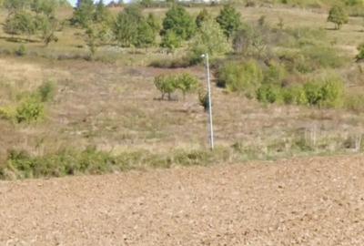 Teren de 5000 mp, în Central - 4