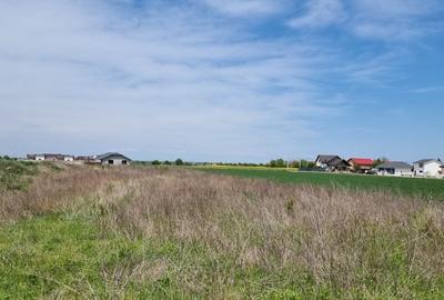 Teren Construcții intravilan de 627 mp, în Crevedia - 3