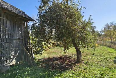 Casă cu Teren 950 Mp în Turbuța