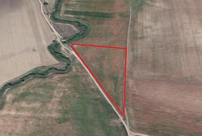 Teren de 28500 mp, în Dobrovăț - 6