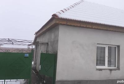 Casă cu 4 camere cu Teren 1400 Mp în Cenad - 9