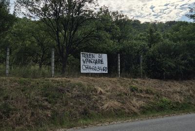 Spațiu comercial, în Nicula - 2