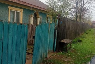 Casă cu 3 camere cu Teren 2500 Mp în Valea Argovei - 4