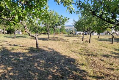 Teren de 3600 mp, în Central - 2