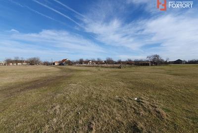 Teren Construcții intravilan de 6400 mp, în Pădureni (Jebel) - 15
