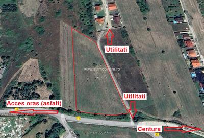 Teren Construcții intravilan de 480 mp, în Sud-Est - 2