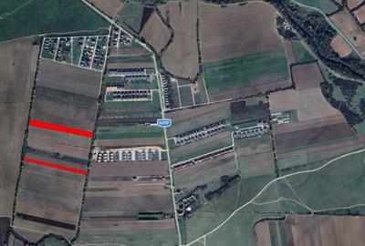 Teren agricol intravilan de 12000 mp, în Bucovăț (Remetea Mare)