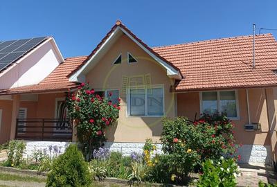 Casă individuală cu 5 camere cu Teren 3785 Mp în Brâncovenești - 1