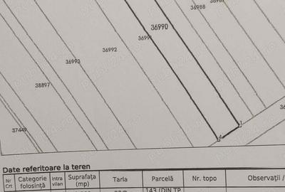 Teren de 2500 mp, în Ulmi - 1