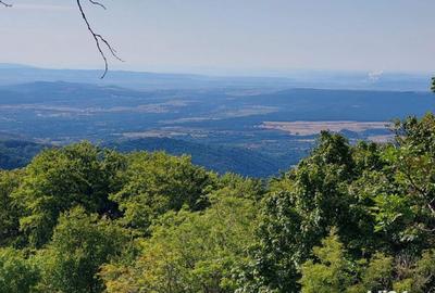 Teren de 8600 mp, în Baia de Fier - 1