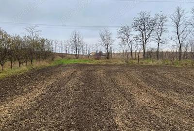 Teren de 23400 mp, în Central - 8
