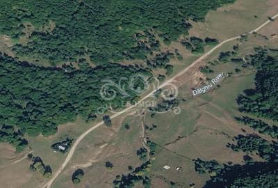 Teren extravilan de 25900 mp, în Vama Buzăului - 2