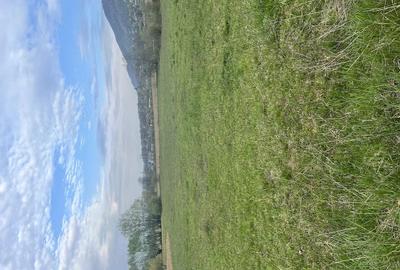 Teren de 5400 mp, în Copalnic - 2