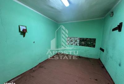 Casă cu 3 camere în Zimandu Nou