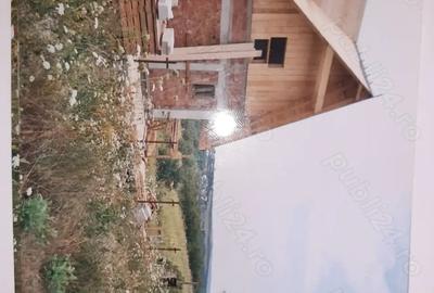Casă cu 2 camere cu Teren 4000 Mp în Bârnova - 1
