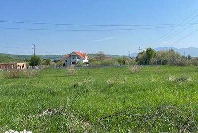 Teren de 1000 mp, în Central