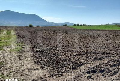 Teren de 15000 mp, în Central - 2