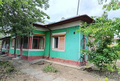 Casă cu Teren 1600 Mp în Vedea - 1
