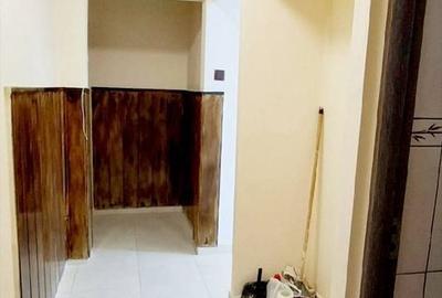 Apartament cu 2 camere nedecomandat în Burdea - 1
