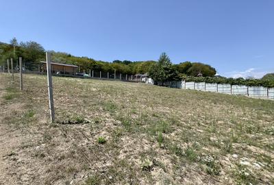 Teren Construcții intravilan de 500 mp, în Bascov - 2