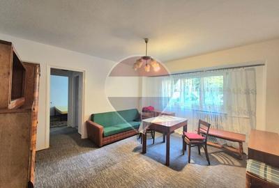 Apartament cu 2 camere semidecomandat, mobilat în Podgoria