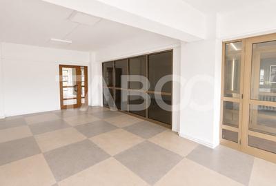 Spațiu comercial, de 80 mp, în Turnișor - 1