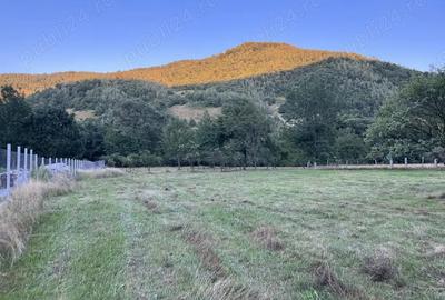 Teren de 3400 mp, în Costești - 2