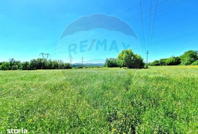 Teren de 8500 mp, în Cașin - 4