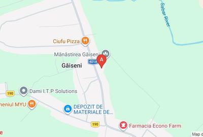Teren Construcții intravilan de 9000 mp, în Găiseni