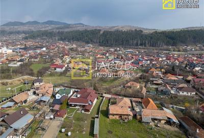 Casă cu 4 camere decomandat cu Teren 3762 Mp în Coman - 2