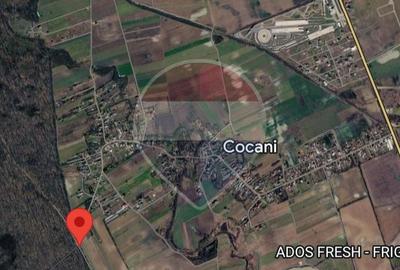 Teren de 988 mp, în Crevedia