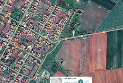Teren de 13106 mp, în Bencecu de Sus - 9