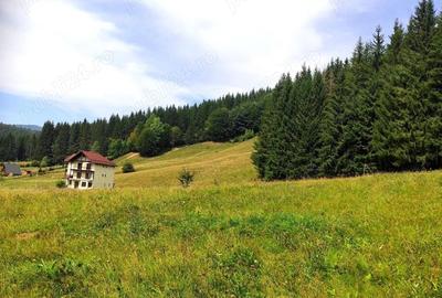 Teren de 2121 mp, în Valea Doftanei - 4