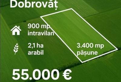 Teren de 25000 mp, în Miroslava