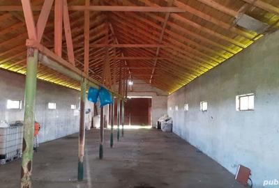 Casă cu 7 camere în Brastavățu - 4