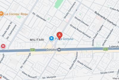 Proprietate specială, de 2 mp, în Gorjului