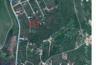 Teren Construcții intravilan de 1500 mp, în Chinteni - 4