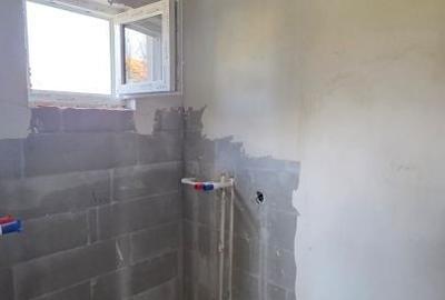 Casă cu 3 camere în Viile Satu Mare