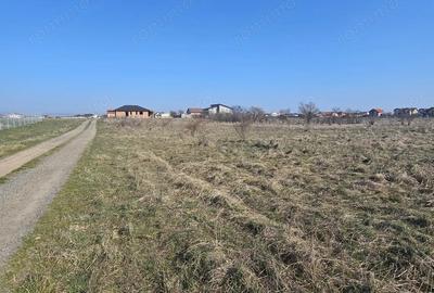 Teren de 660 mp, în Șag