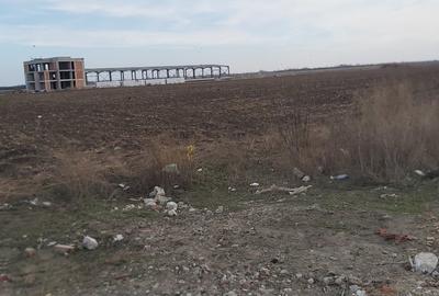Teren agricol intravilan de 4.5 mp, în Brăilei - 20
