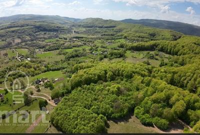 Teren Construcții intravilan de 13700 mp, în Săcădat - 1