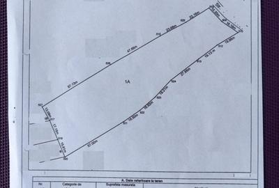Teren Construcții intravilan de 533 mp, în Trivale - 12