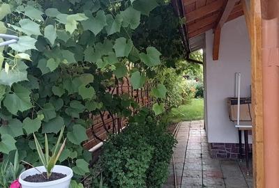 Casă cu 4 camere cu Teren 600 Mp în Găvana - 8