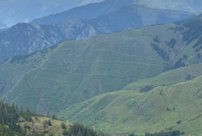 Teren de 1100000 mp, în Nucșoara - 4