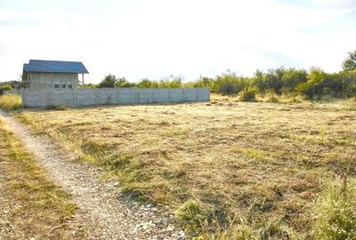 Teren de 500 mp, în Smeura - 2