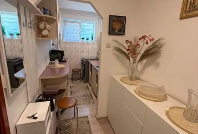 Apartament cu 2 camere semidecomandat în Mănăștur