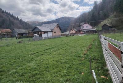 Spațiu comercial, în Vama Buzăului - 3