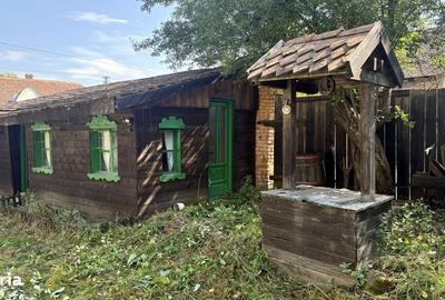Casă cu 4 camere în Viscri - 5